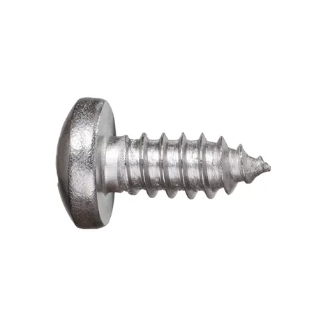 Шуруп-полусфера DIN7981 6,3х32 А2