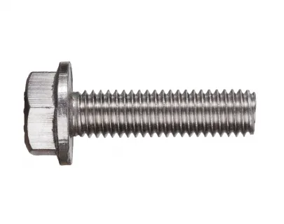 Болт шестигранный с фланцем  DIN6921 10х30 А2